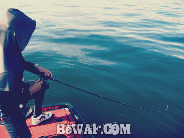 WFG biwako bass fishing guide 10