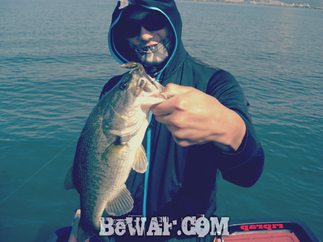 WFG biwako bass fishing guide 12