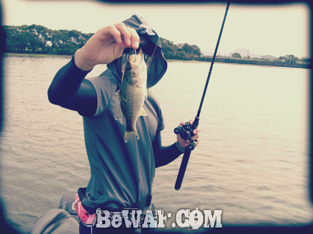 WFG biwako bass fishing guide 13
