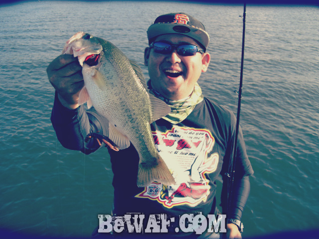 WFG biwako bass fishing guide 17