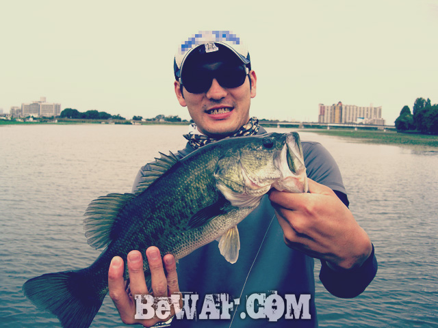 WFG biwako bass fishing guide 20