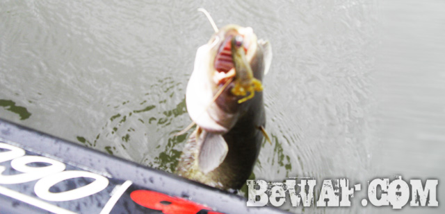 WFG biwako bass fishing guide 9