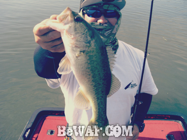 biwako bass fishing guide blog shousai 15