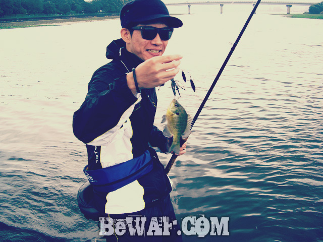 biwako bass fishing guide service 10