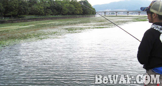biwako bass fishing guide service 10
