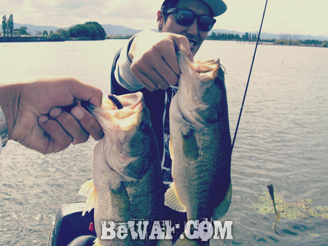 biwako bass fishing guide service 11