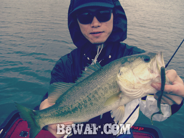 biwako bass fishing guide service 13