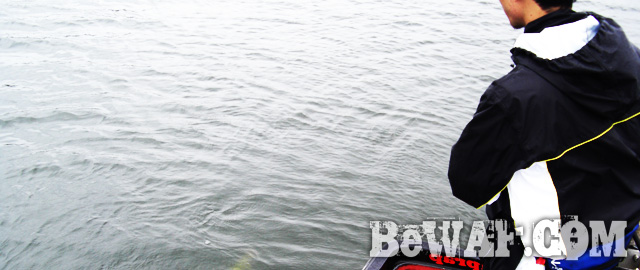 biwako bass fishing guide service 16