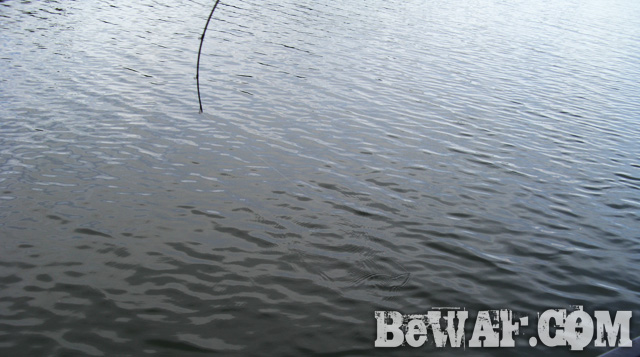 biwako bass fishing guide service 19