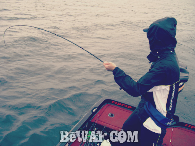 biwako bass fishing guide service 6