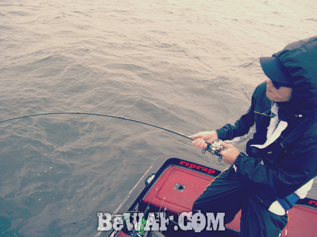 biwako bass fishing guide service 8
