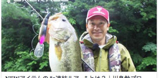 ダイビング・マイキー（ポニーテール）の詳細!! (川島勉) 