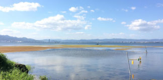 今日の琵琶湖 (9月11日) (by ビワエフ) 1