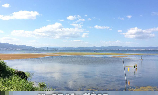 今日の琵琶湖 (9月11日) (by ビワエフ) 1