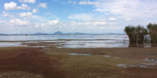 今日の琵琶湖 (by ビワエフ) 2