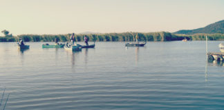 本日は西の湖マスター最終戦へ参加!! 2