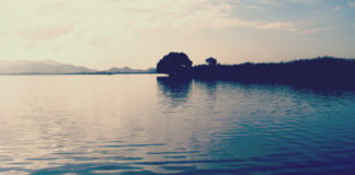 西の湖へ (9月5日) 3