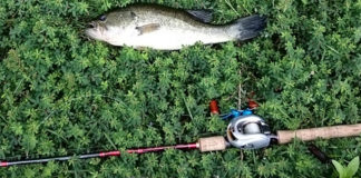 瀬田川釣果 バス41cm!! (bv六文銭) 2015年 1