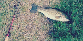 瀬田川釣果 バス44cm!! (bv六文銭) 2015年 1