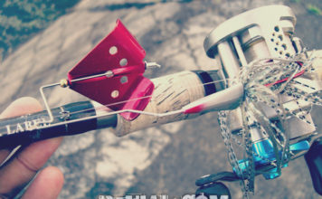 瀬田川へ (2015年 9月11日) 4