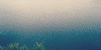 今日の瀬田川 (by ビワエフ) 1