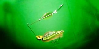 スピナーベイトが釣れる理由!! （バスフィッシング） 2