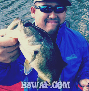 琵琶湖バスフィッシングガイドリポート ~加納様~ 38cm 11