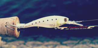 瀬田川へ (2015年 10月26日) 3