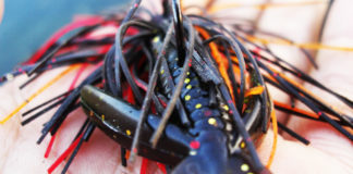 瀬田川へ (2015年 10月23日) 4