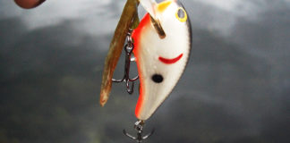 瀬田川へ (2015年 10月22日) 6