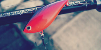 瀬田川へ (2015年 10月30日) 6