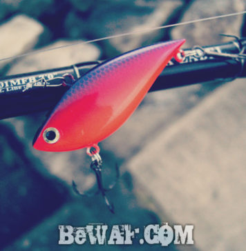 瀬田川へ (2015年 10月30日) 6