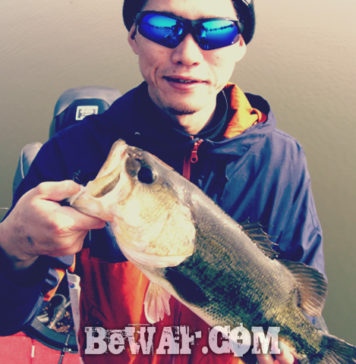 琵琶湖バスフィッシングガイドリポート ~里様~ 39cm 7