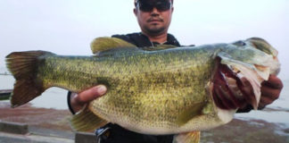 スイムベイトで６４センチ!! (琵琶湖) 2