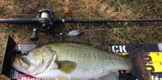 オカッパリ釣果!! 51cm,49cm,41cm!! (琵琶湖) 2