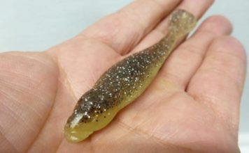 FACT スカルピンの詳細説明!! (福島健)