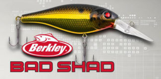 BAD SHAD がリリース!! (Berkley) 2