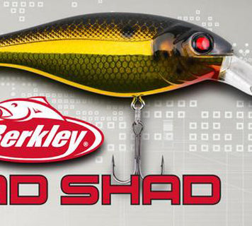 BAD SHAD がリリース!! (Berkley) 2