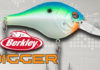Digger がリリース!! (Berkley) 1