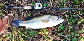 お客様からの釣果：中居様~クランクで46up!!（リップラップガイド） 1