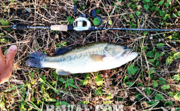 お客様からの釣果：中居様~クランクで46up!!（リップラップガイド） 1