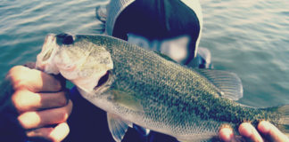 琵琶湖バスフィッシングガイドリポート ~中居様~ 33cm ~後編~ 10