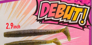 レッグワーム2.9インチ発売決定!! (ゲーリーヤマモト) 
