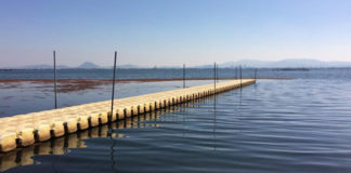 今日の琵琶湖 (by ビワエフ) 10月19日 1