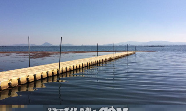 今日の琵琶湖 (by ビワエフ) 10月19日 1