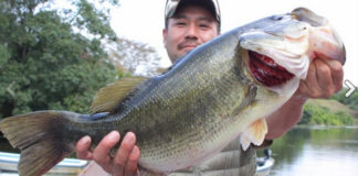 ボカ〜ン!! ネコリグで６１.５cm!! (亀山ダム) 
