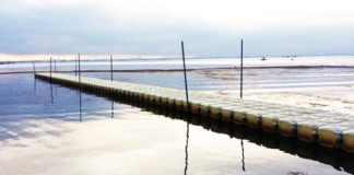 今日の琵琶湖 (by ビワエフ) 10月20日 1