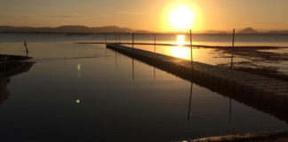 今日の琵琶湖 (by ビワエフ) 10月29日 1