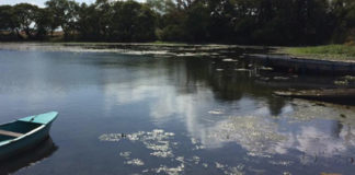 今日の琵琶湖 (by ビワエフ) 10月28日 1