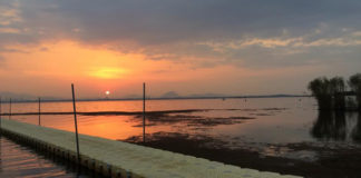 今日の琵琶湖 (by ビワエフ) 10月30日 1